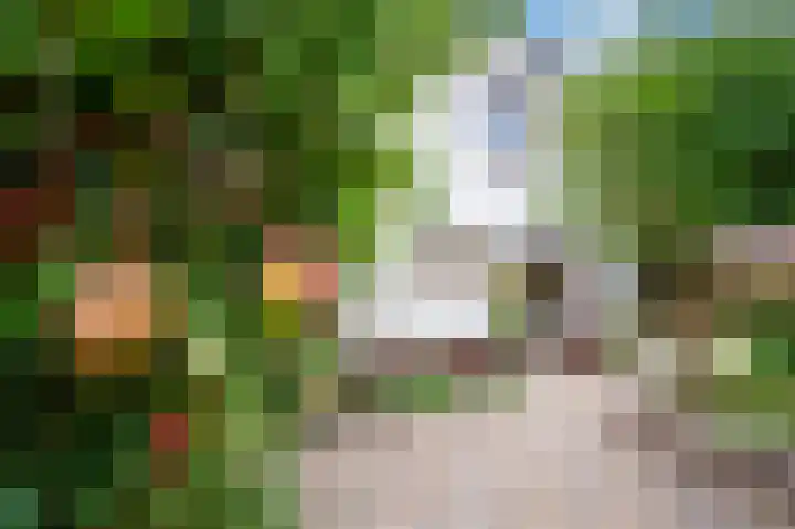 Ooiweg 15 Apeldoorn thumbnail 26