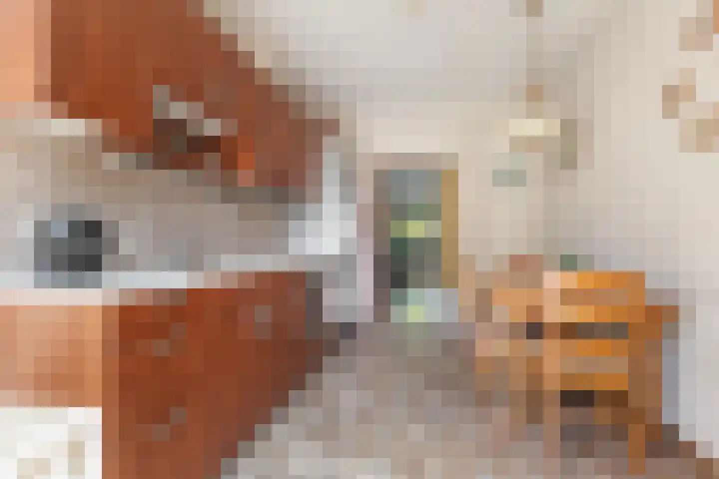 Ooiweg 31 Apeldoorn thumbnail 11