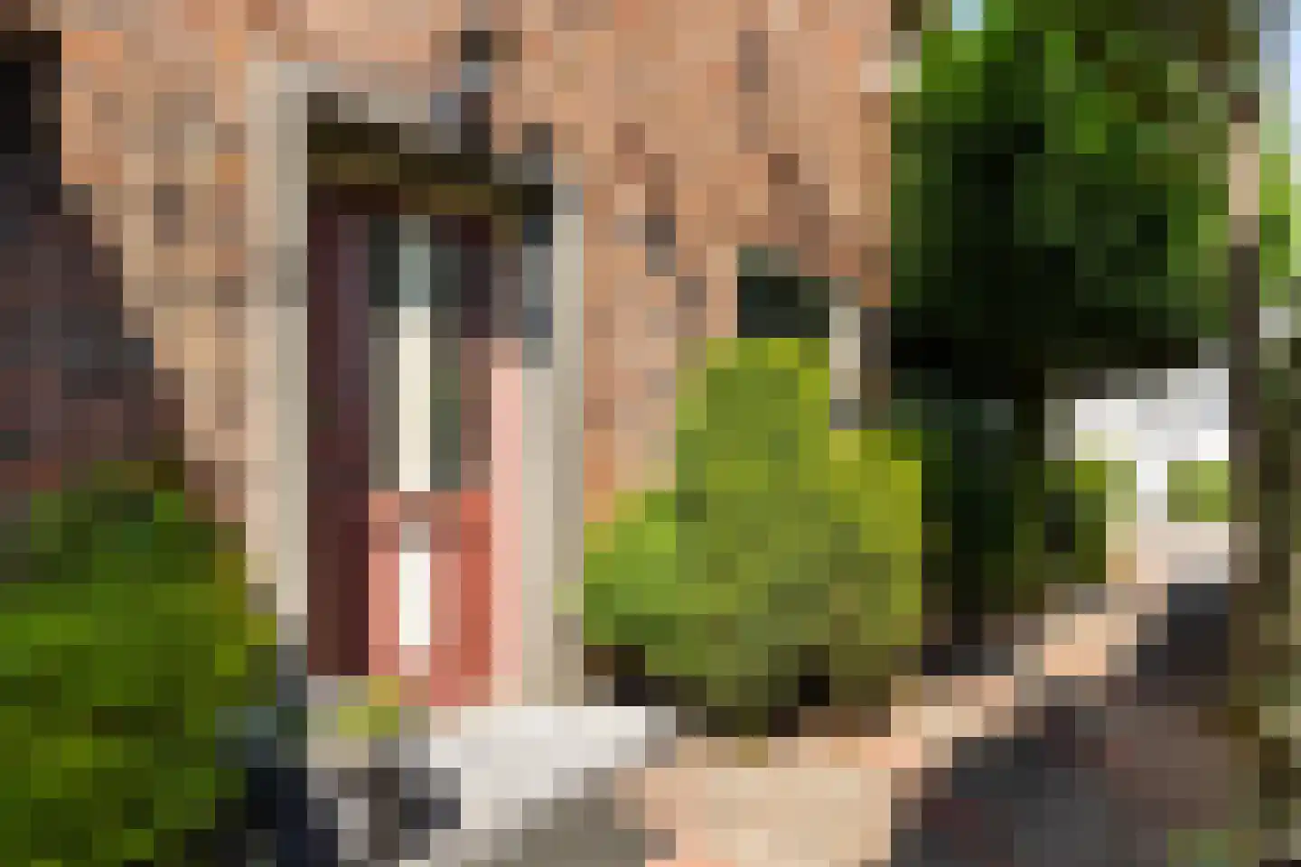 Ooiweg 31 Apeldoorn thumbnail 32