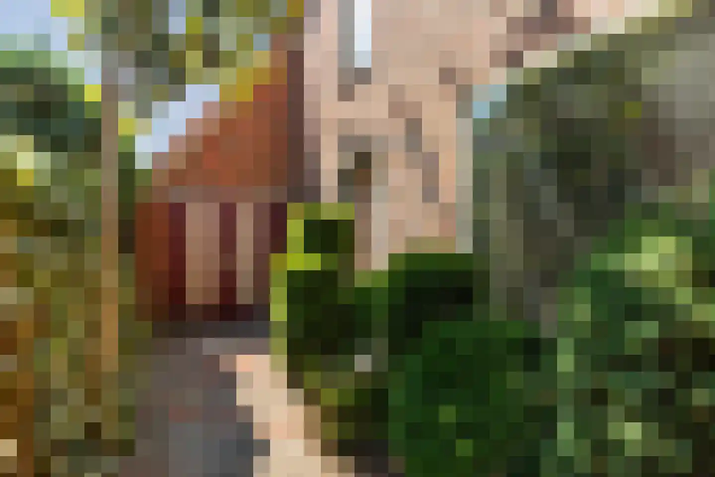 Ooiweg 31 Apeldoorn thumbnail 33