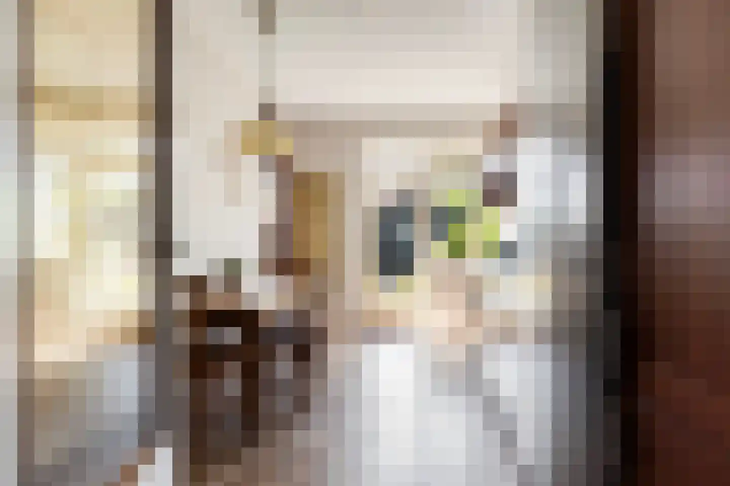 Ooiweg 31 Apeldoorn thumbnail 9