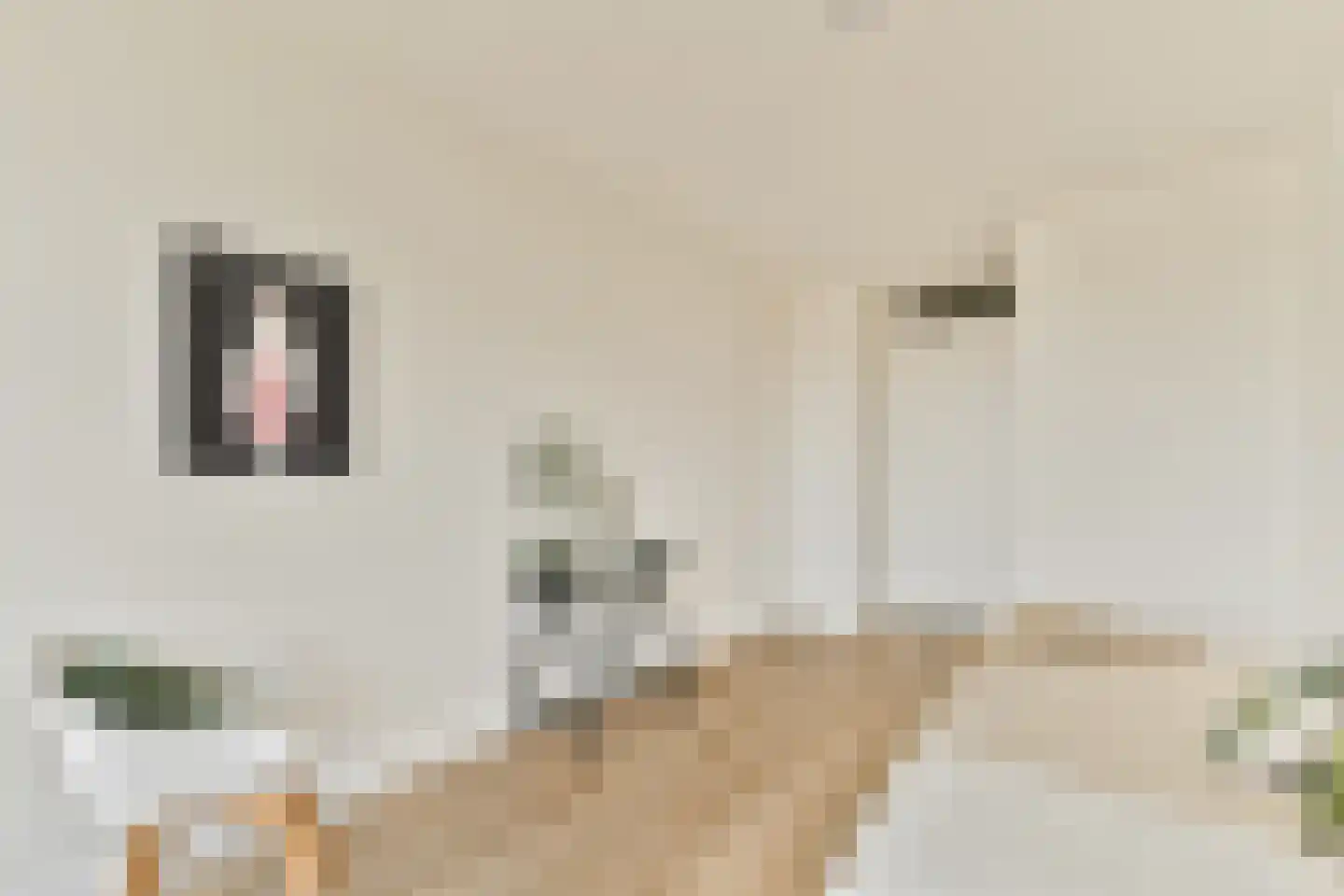 Ookmeerweg 18 B Amsterdam thumbnail 14
