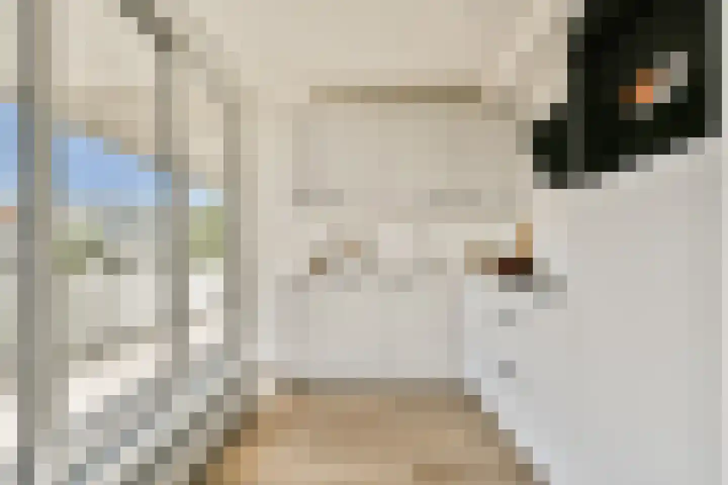 Ookmeerweg 18 B Amsterdam thumbnail 6