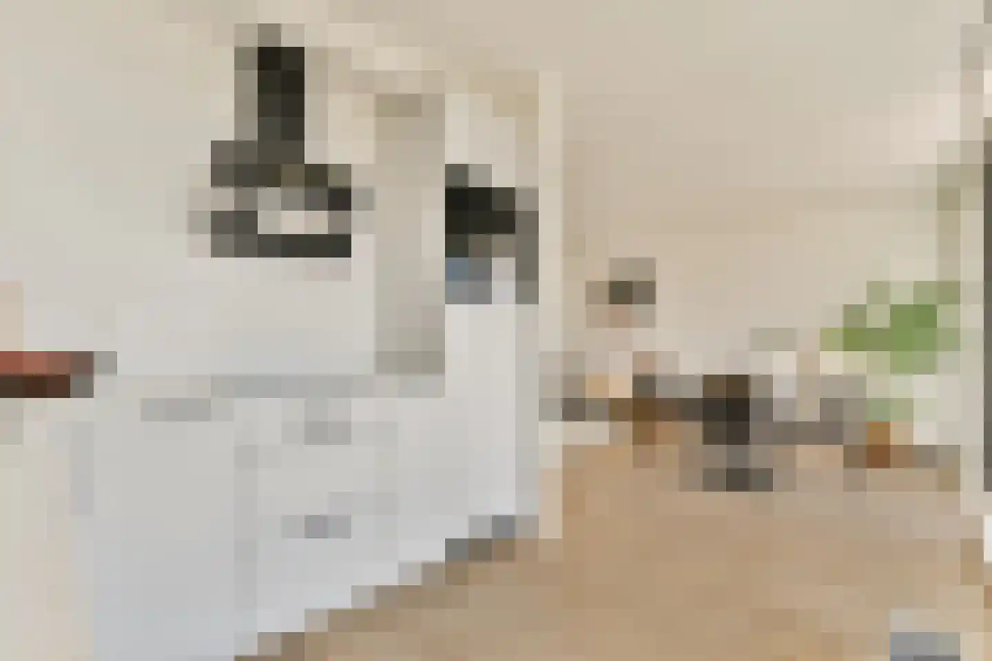 Ookmeerweg 18 B Amsterdam thumbnail 7