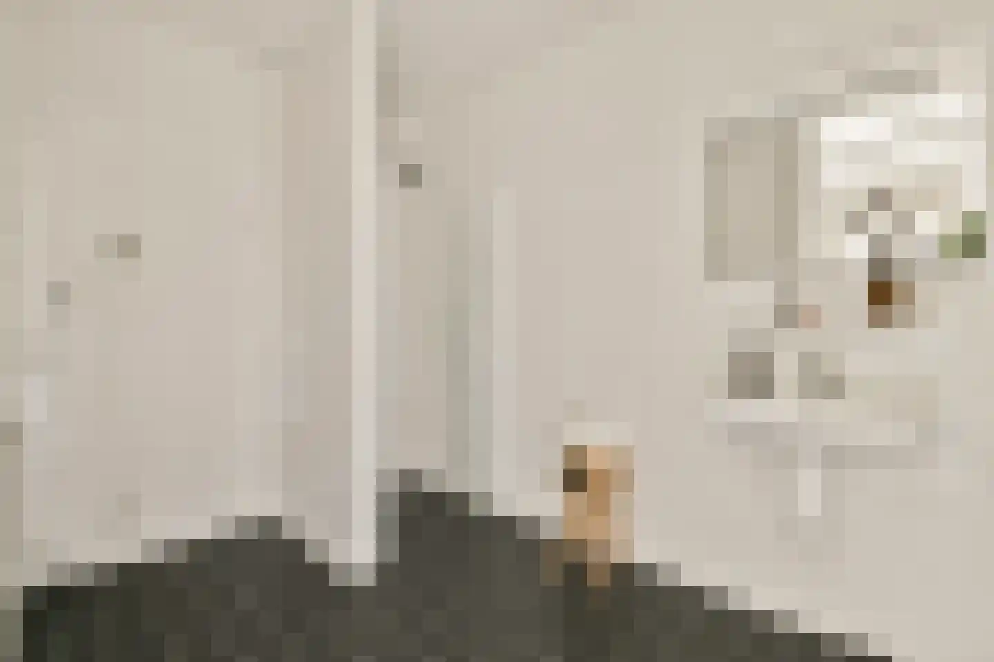Ookmeerweg 5 C Amsterdam thumbnail 12