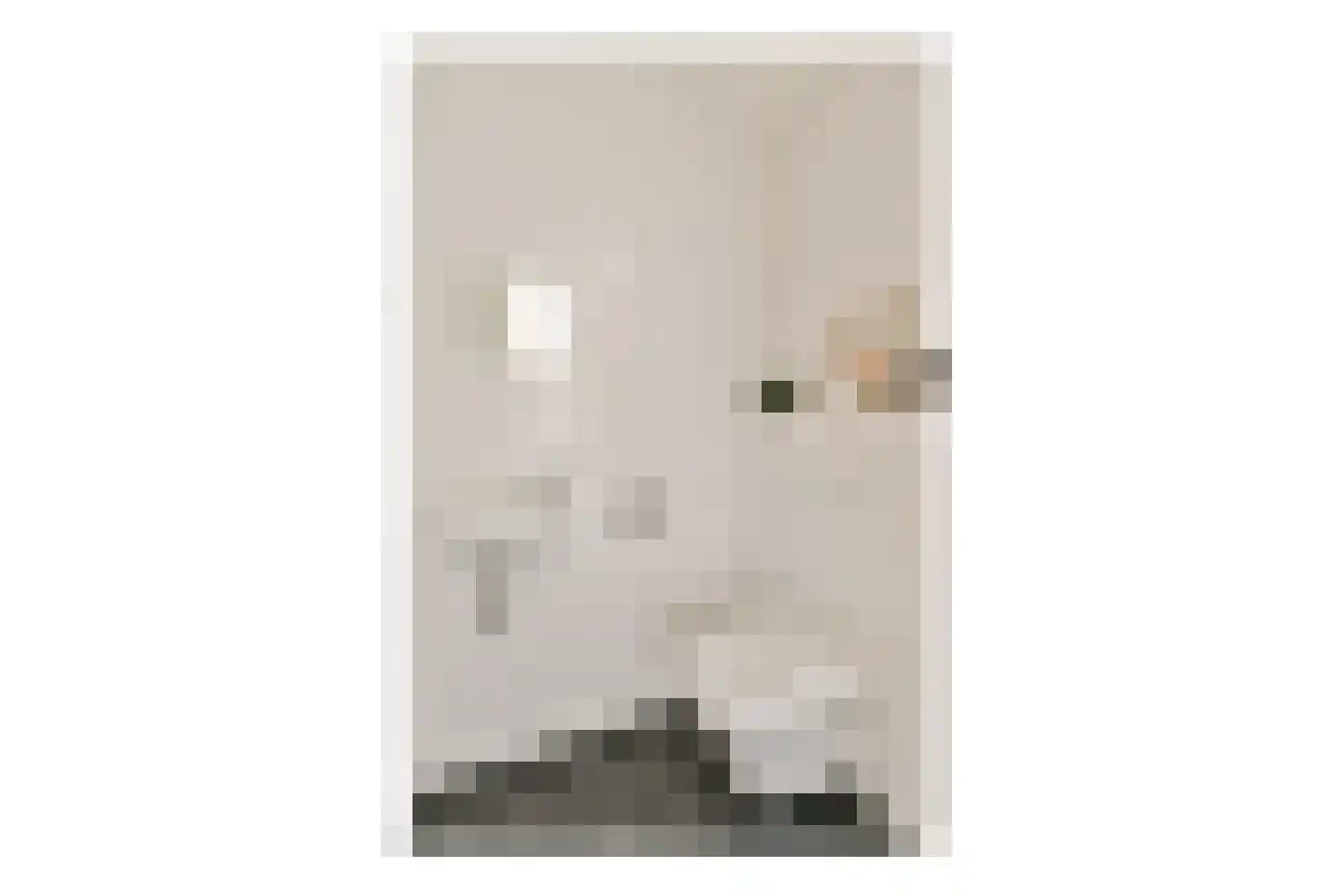 Ookmeerweg 5 C Amsterdam thumbnail 17