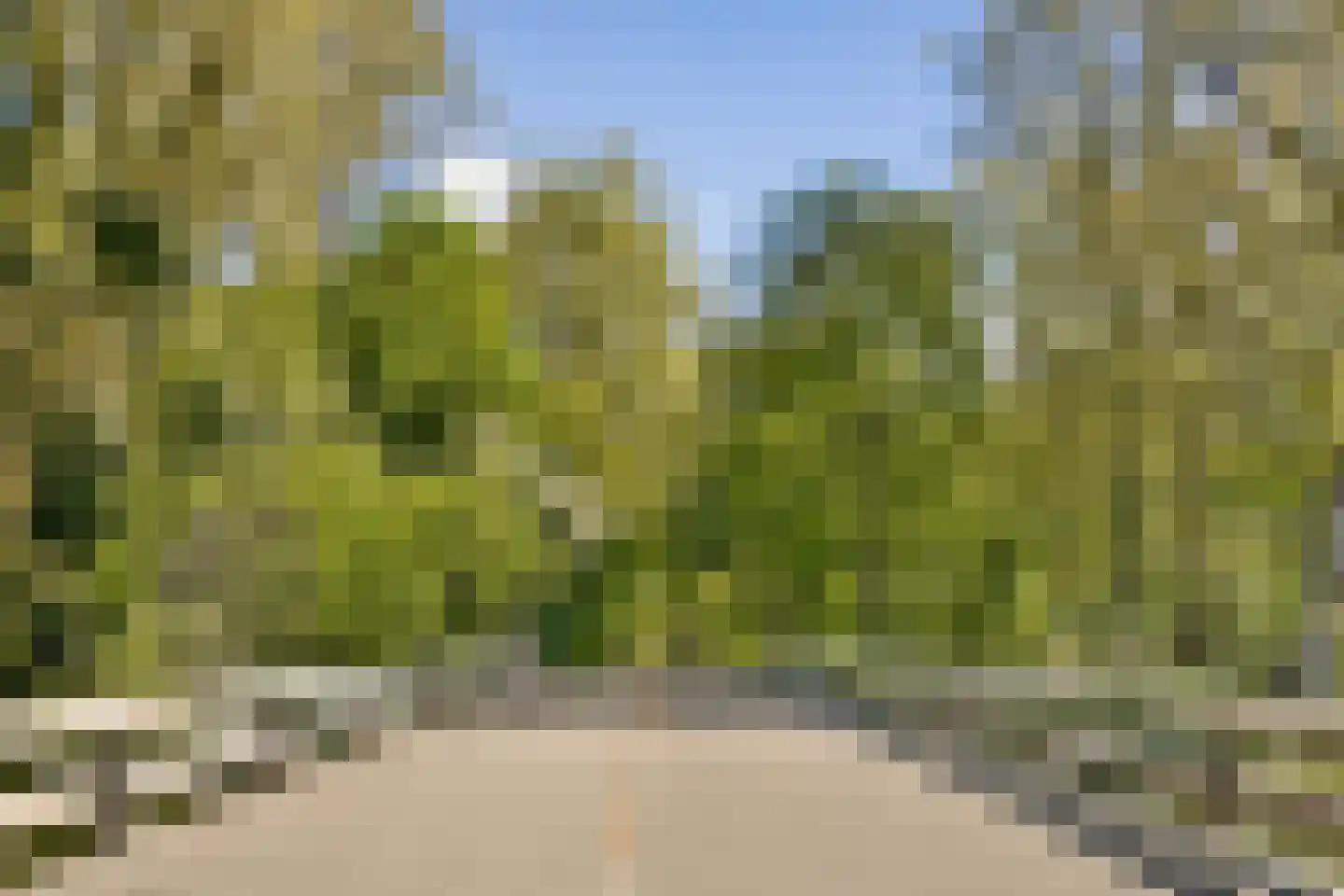 Ookmeerweg 5 C Amsterdam thumbnail 20