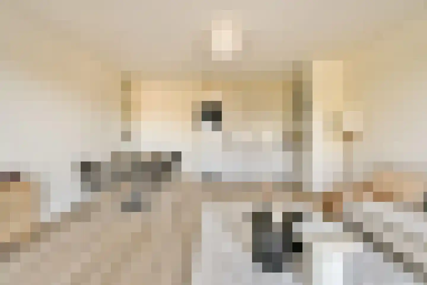 Ookmeerweg 5 C Amsterdam thumbnail 7