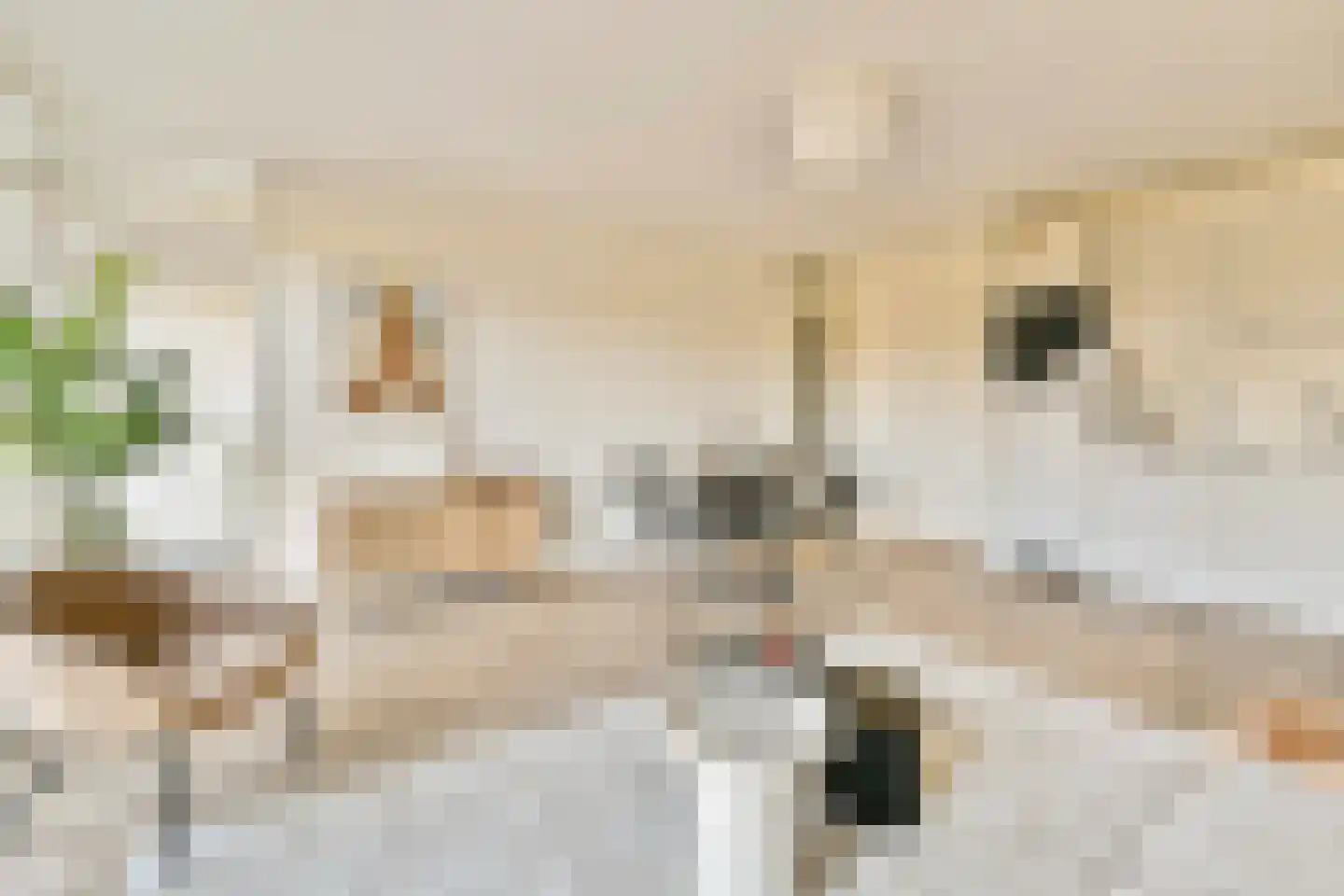 Ookmeerweg 5 C Amsterdam thumbnail 8