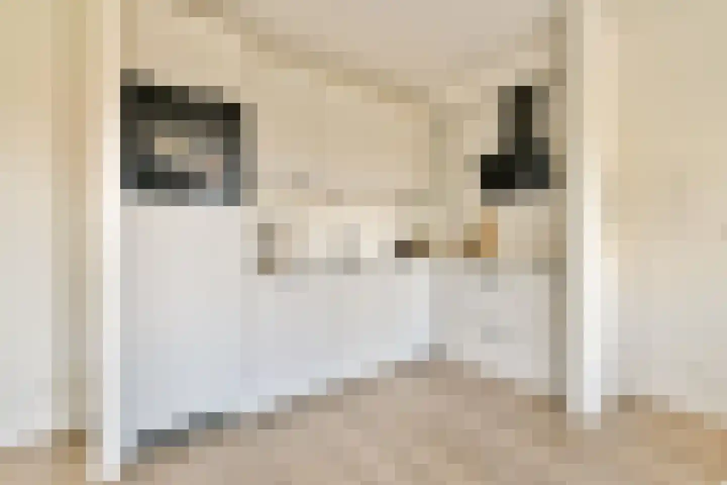 Ookmeerweg 5 C Amsterdam thumbnail 9