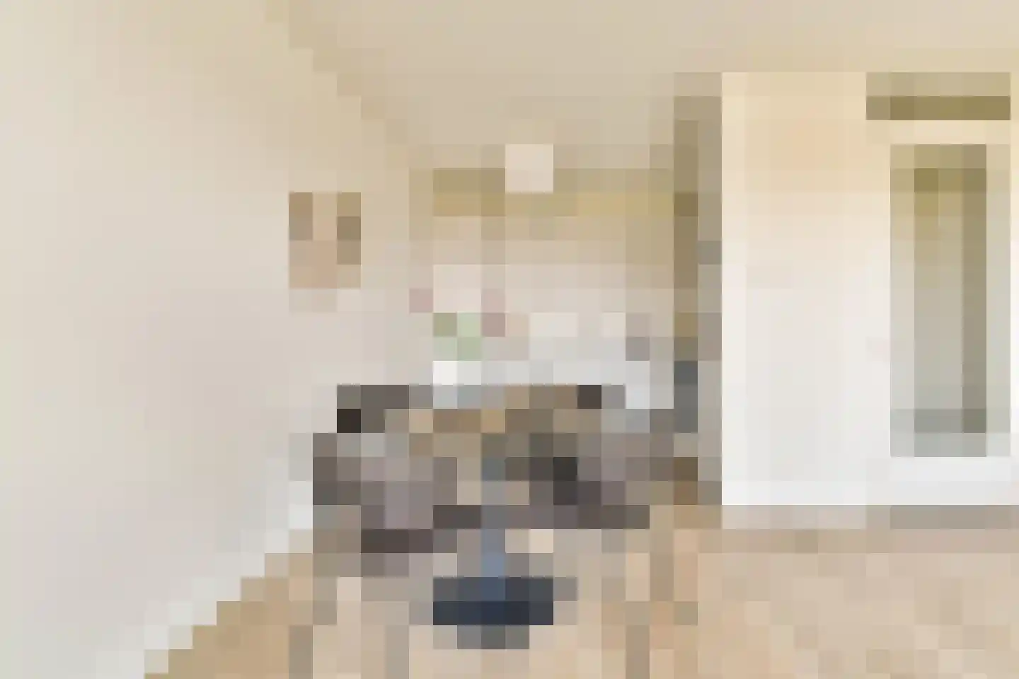 Ookmeerweg 7 C Amsterdam thumbnail 5