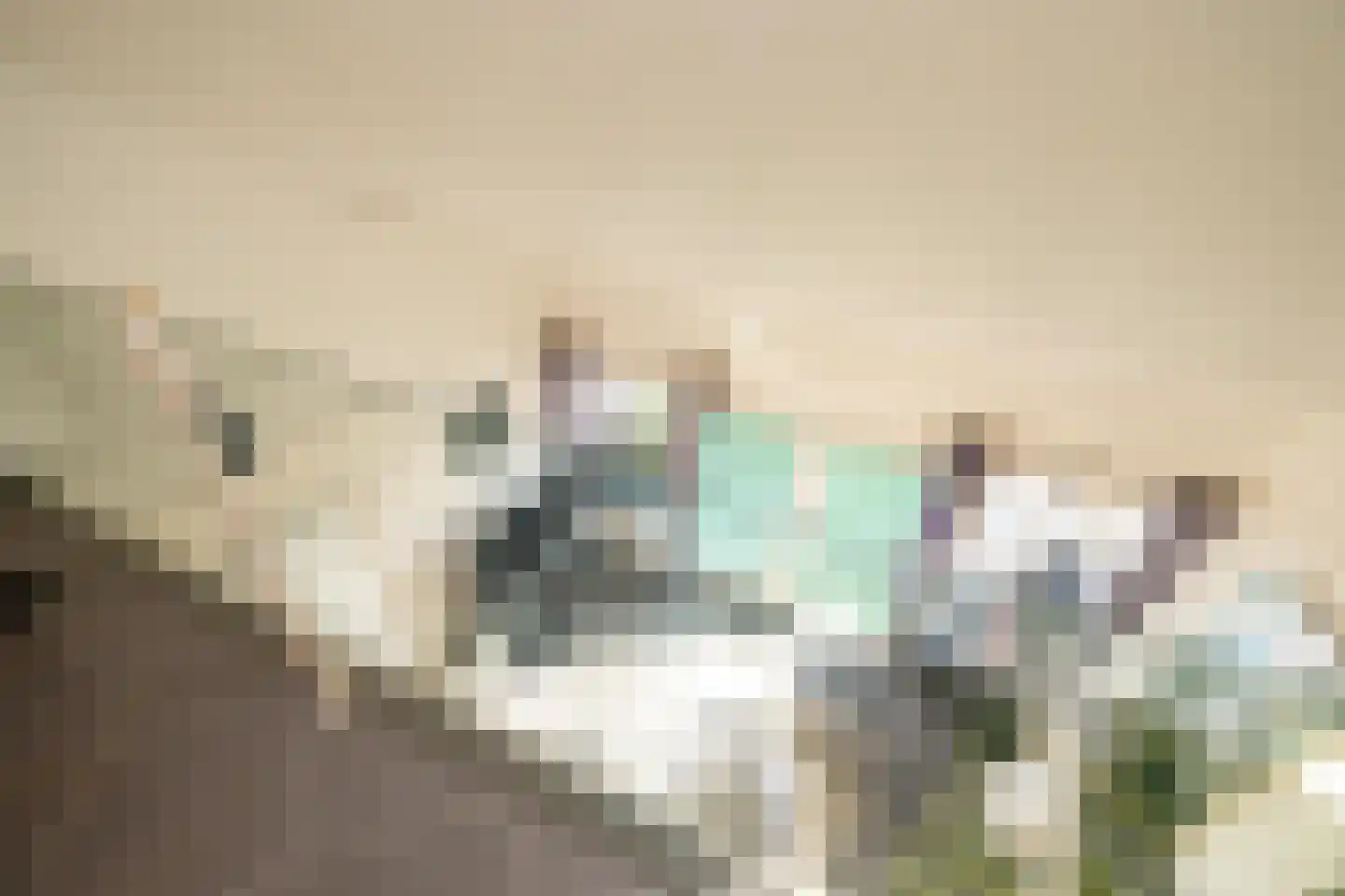 Oolderhuuske 1 MD8 Roermond thumbnail 22