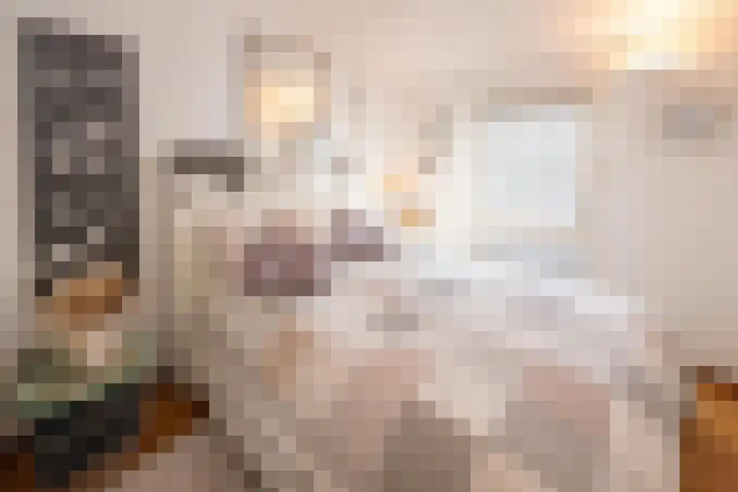 Oolderhuuske 1 MD8 Roermond thumbnail 24