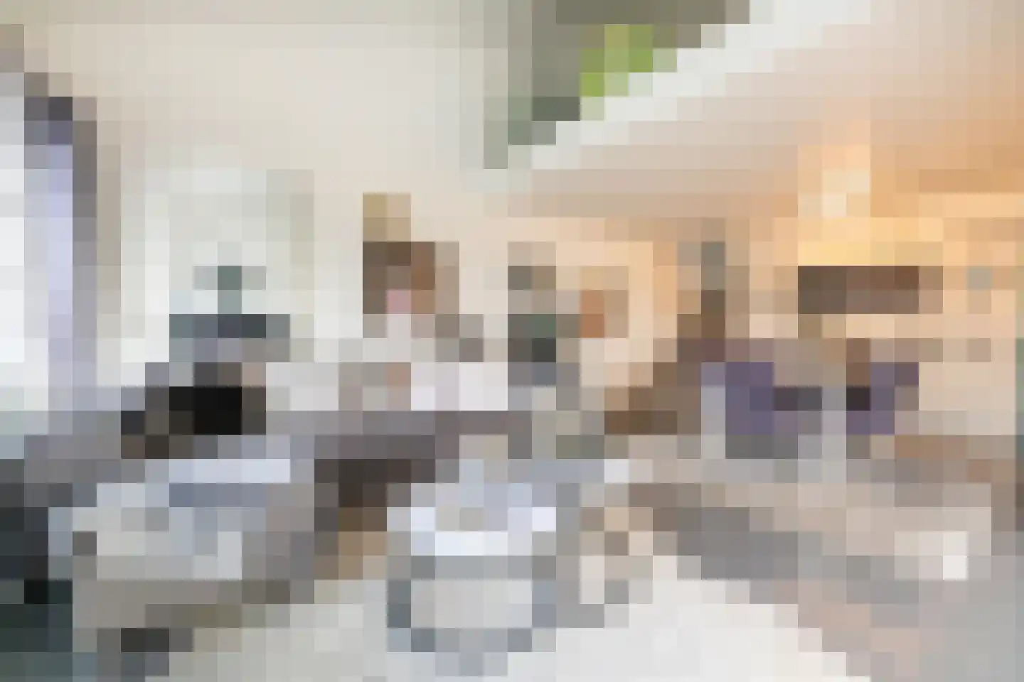 Oolderhuuske 1 MD8 Roermond thumbnail 7