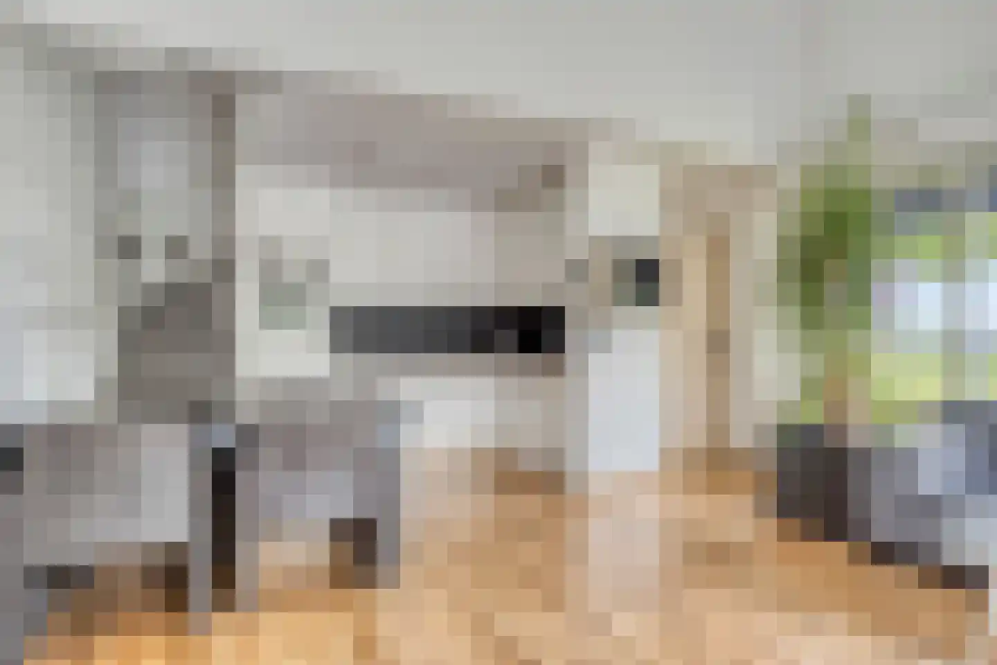 Oolderhuuske 1 ME1 Roermond thumbnail 13