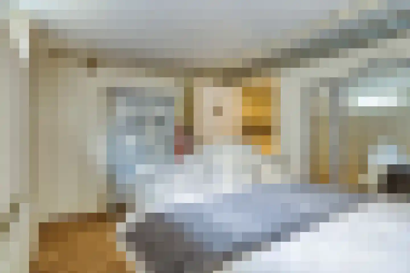 Oolderhuuske 1 ME1 Roermond thumbnail 24