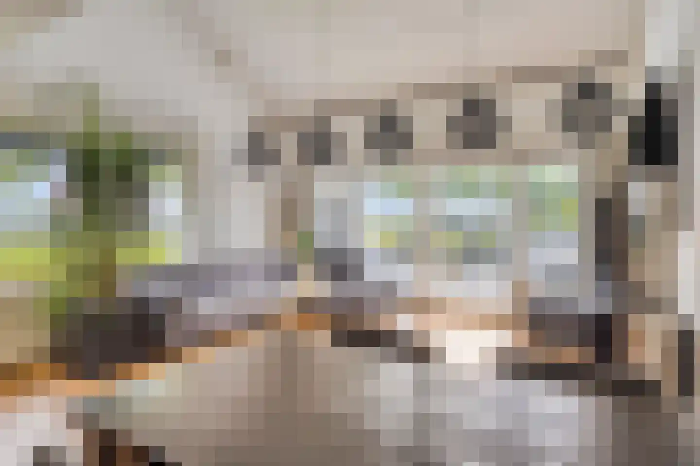 Oolderhuuske 1 ME1 Roermond thumbnail 6