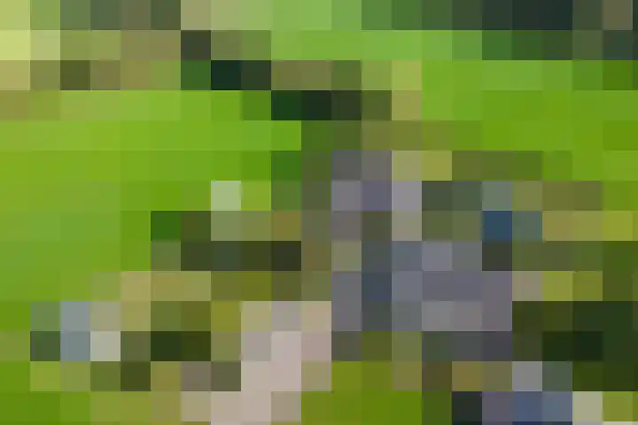 Ooldselaan 24 Laren thumbnail 24