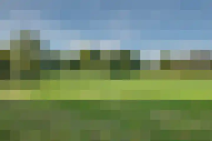 Ooldselaan 24 Laren foto 3