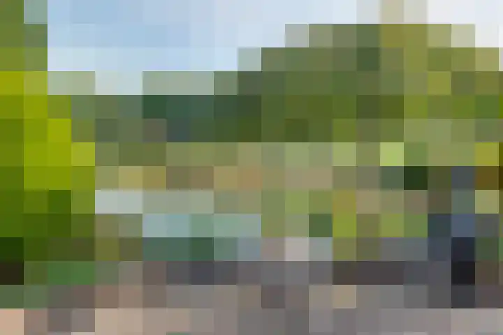 Ooldselaan 24 Laren thumbnail 30