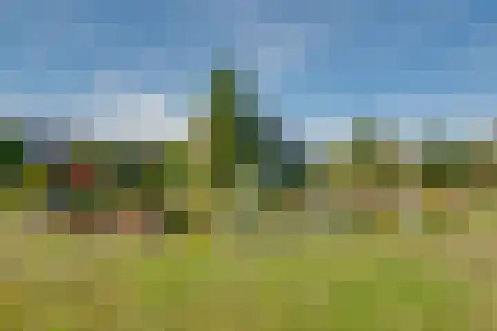 Ooldselaan 24 Laren thumbnail 31