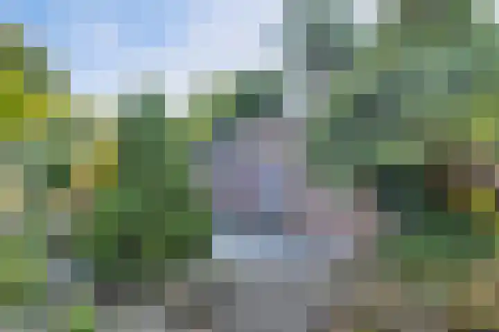 Ooldselaan 24 Laren thumbnail 32