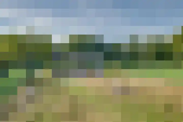 Ooldselaan 24 Laren thumbnail 34