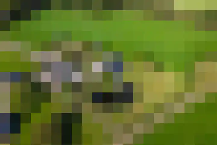 Ooldselaan 24 Laren thumbnail 39