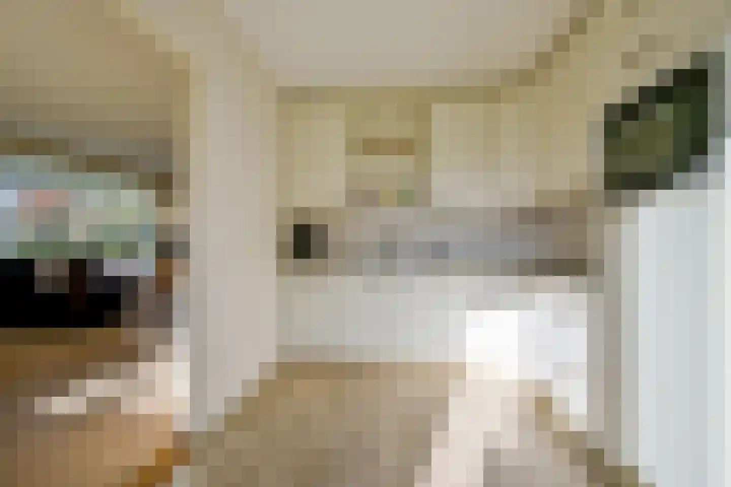 Oom Keesweg 6 Wieringerwerf thumbnail 12
