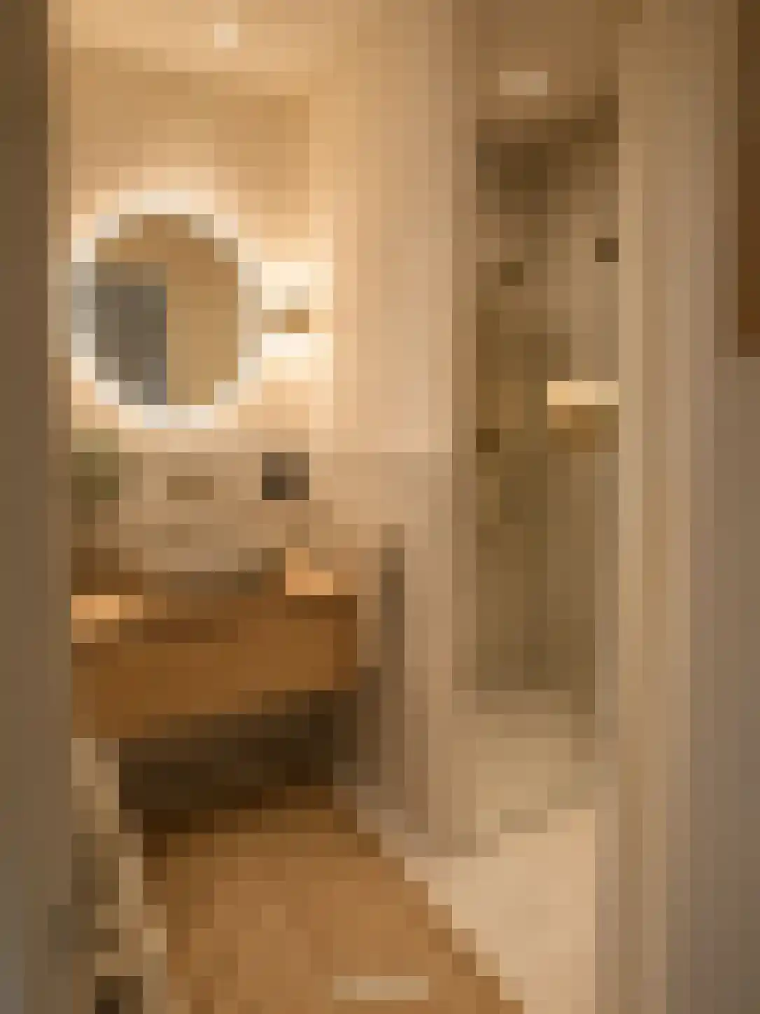 Oom Keesweg 6 Wieringerwerf thumbnail 24