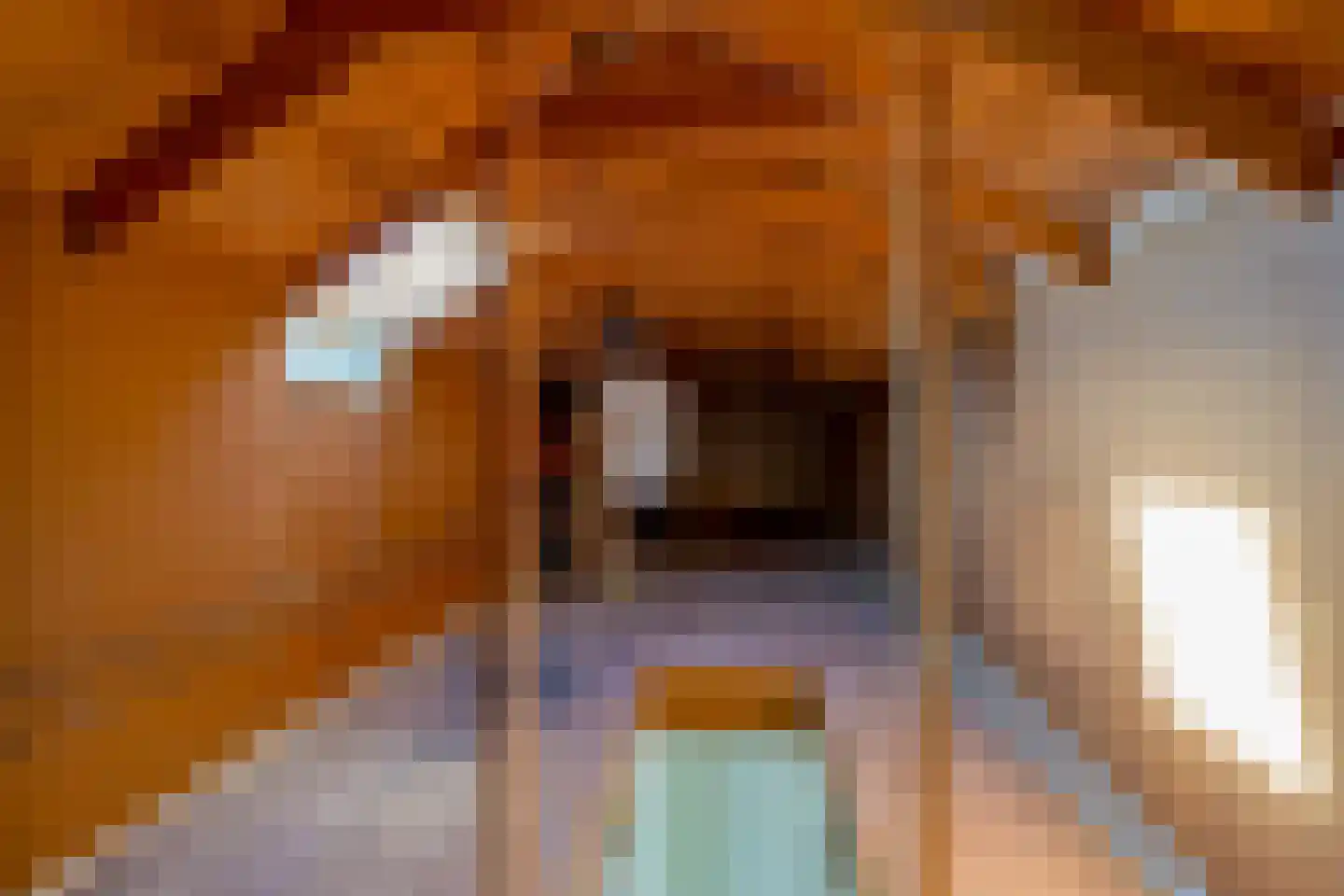 Oom Keesweg 6 Wieringerwerf thumbnail 26
