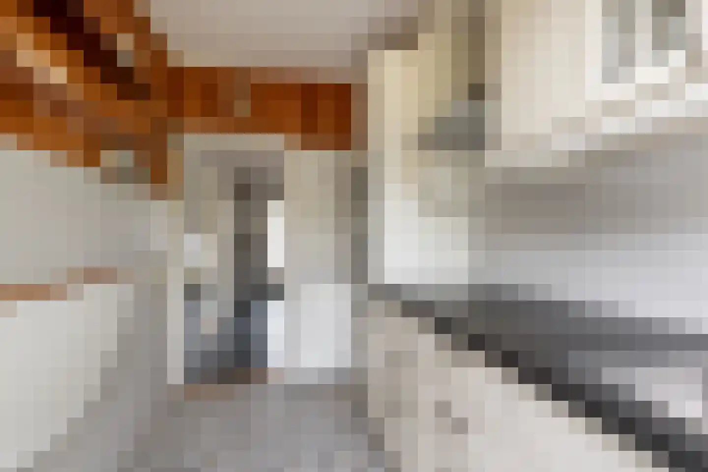 Oomeweg 6 Voorschoten thumbnail 10