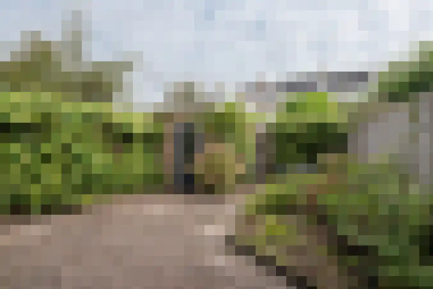 Oomeweg 6 Voorschoten thumbnail 25