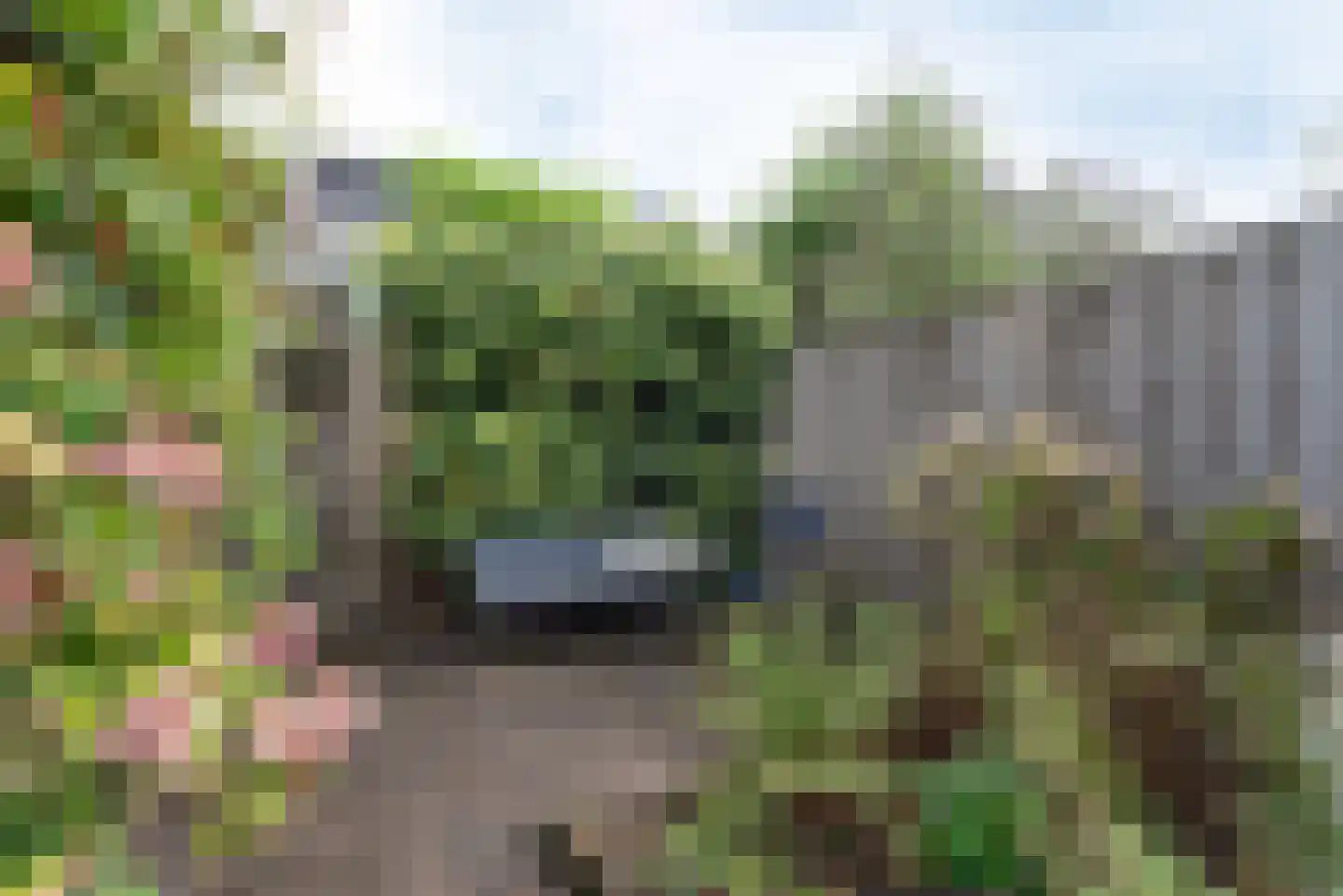 Oomeweg 6 Voorschoten thumbnail 26