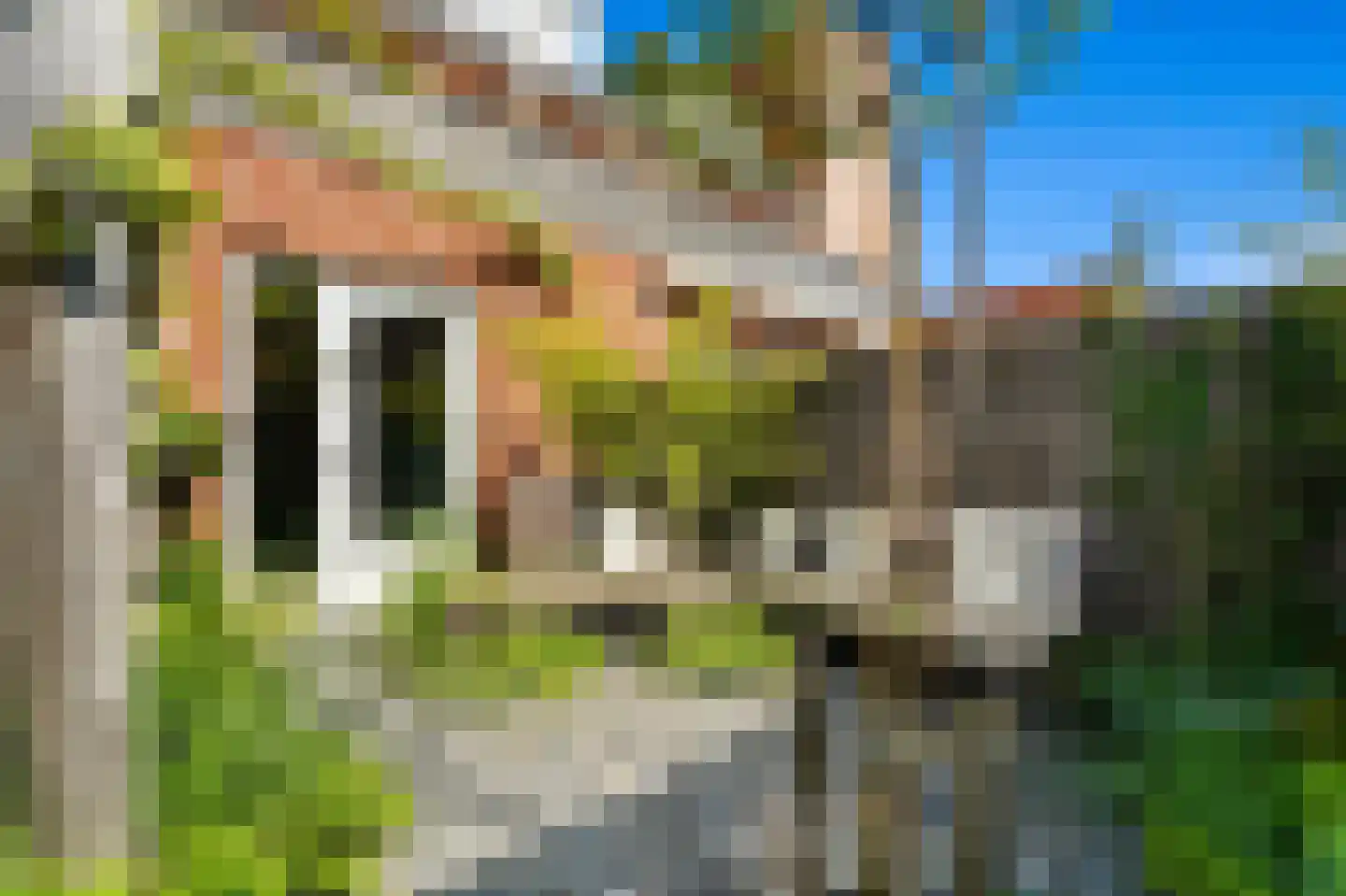 Oomskind 57 Den Hoorn thumbnail 16