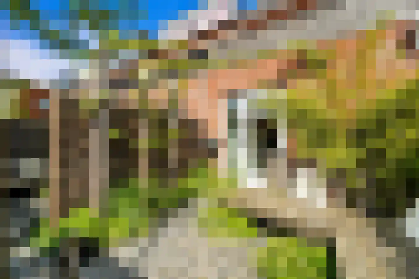 Oomskind 57 Den Hoorn thumbnail 17