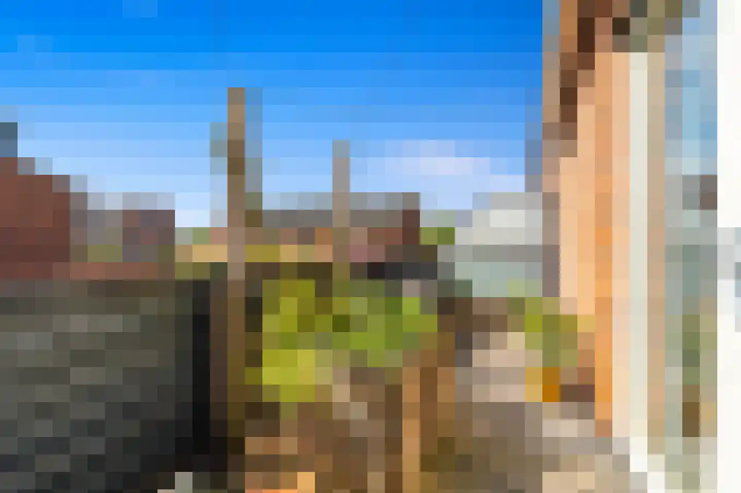 Oomskind 57 Den Hoorn thumbnail 26