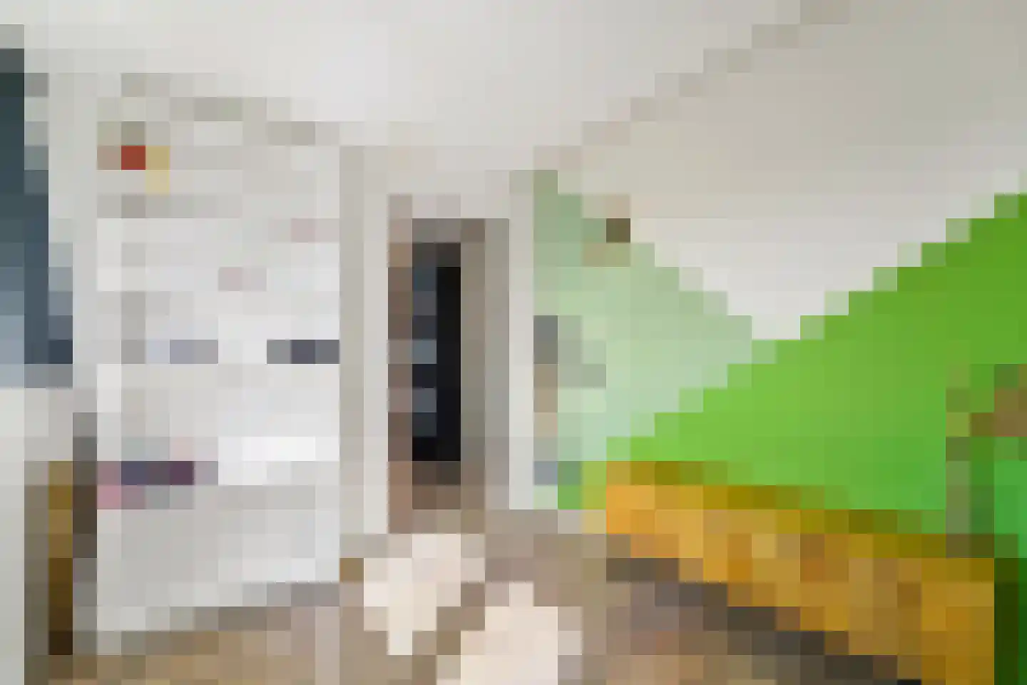 Oomskind 57 Den Hoorn thumbnail 40