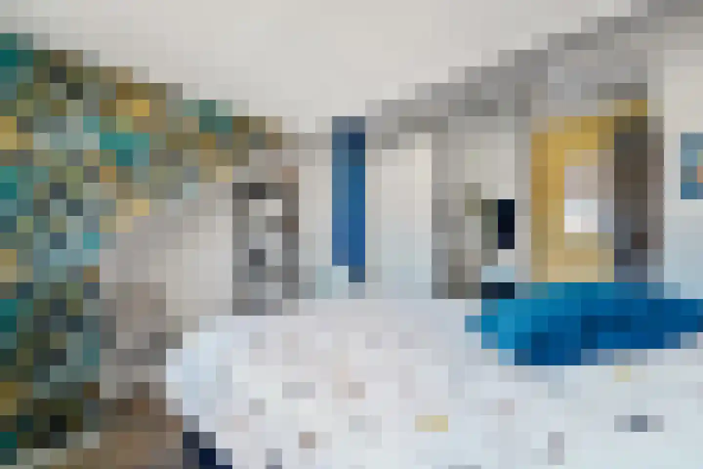 Oomskind 57 Den Hoorn thumbnail 43