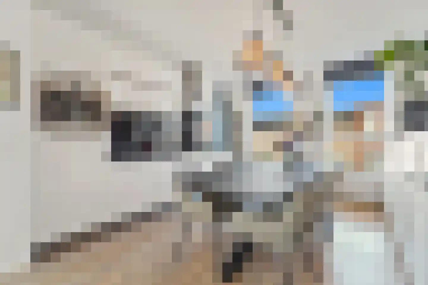 Oomskind 57 Den Hoorn thumbnail 5