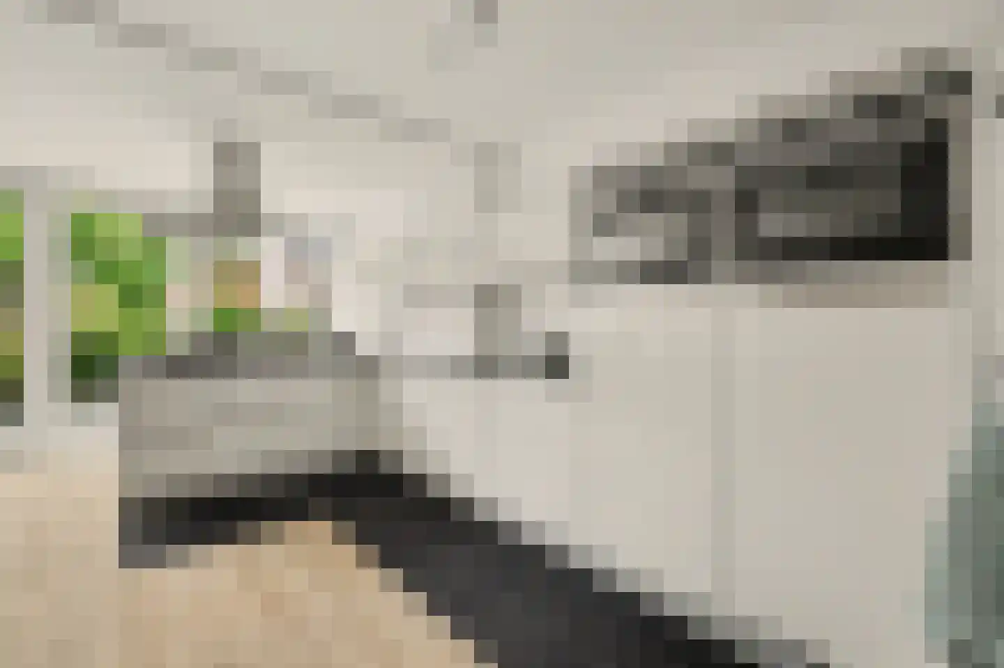 Oomskinderenstraat 7 Kapelle thumbnail 10