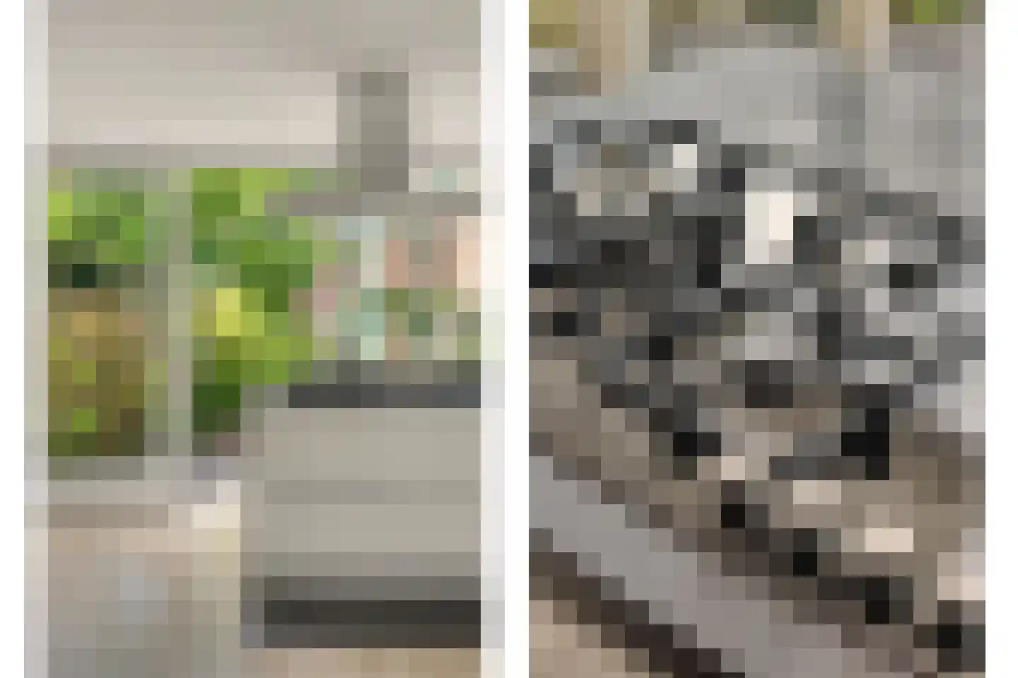 Oomskinderenstraat 7 Kapelle thumbnail 14