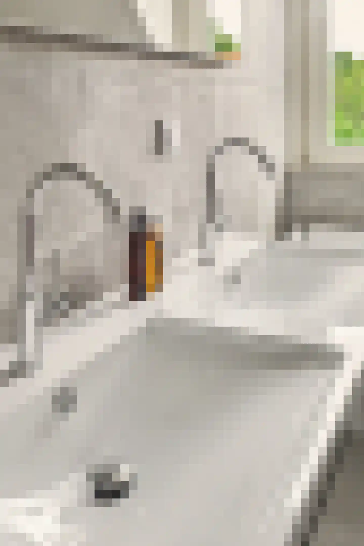 Oomskinderenstraat 7 Kapelle thumbnail 25