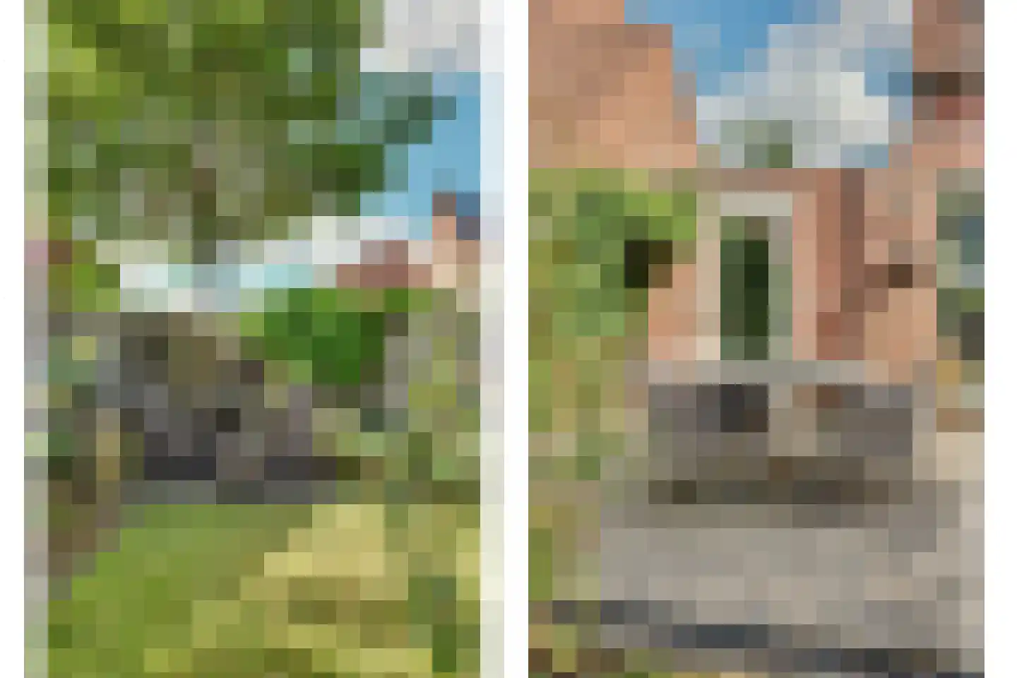 Oomskinderenstraat 7 Kapelle thumbnail 33