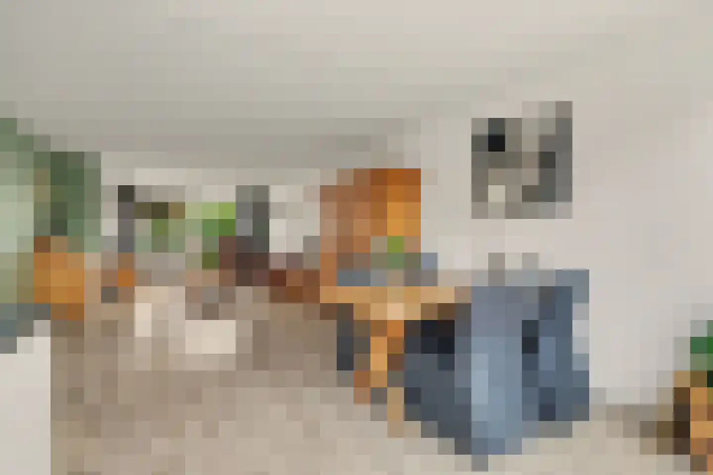 Oomskinderenstraat 7 Kapelle thumbnail 9