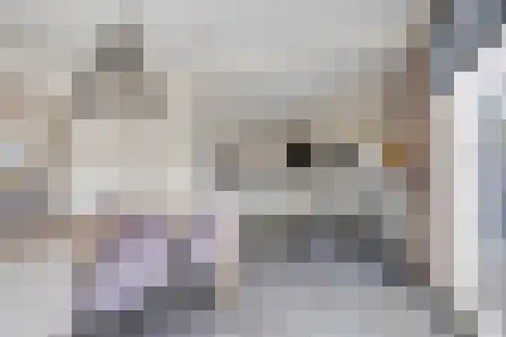 Oonderschoer 3 Markelo thumbnail 13