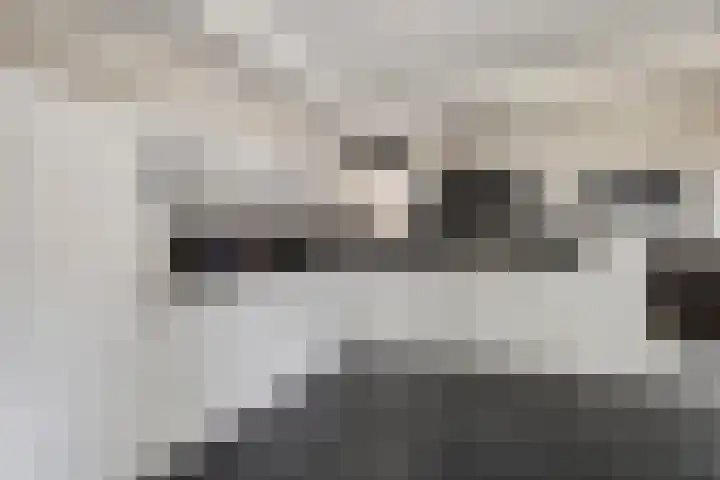 Oonderschoer 3 Markelo thumbnail 14