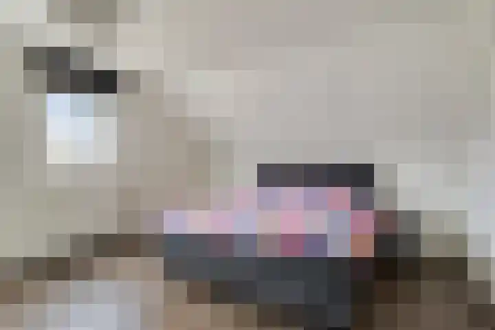 Oonderschoer 3 Markelo thumbnail 22