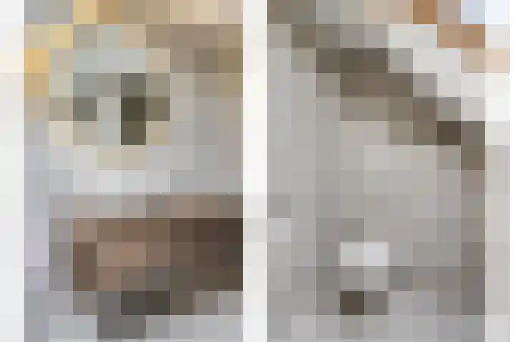 Oonderschoer 3 Markelo thumbnail 25