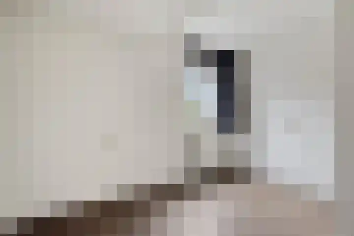 Oonderschoer 3 Markelo thumbnail 30